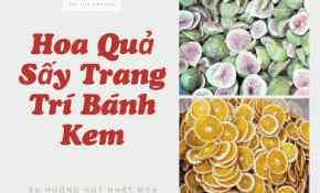 Hoa Quả Sấy Trang Trí Bánh Kem – Tự Nhiên, Thơm Ngon, Tăng Thẩm Mỹ Cho Chiếc Bánh