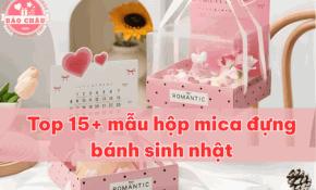 Top 15+  mẫu hộp mica đựng bánh sinh nhật sang trọng, bảo quản tốt