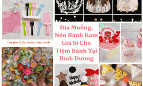 Đĩa Muỗng, Nón Bánh Kem Giá Sỉ Cho Tiệm Bánh Tại Bình Dương, Biên Hòa