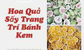 Hoa Quả Sấy Trang Trí Bánh Kem – Tự Nhiên, Thơm Ngon, Tăng Thẩm Mỹ Cho Chiếc Bánh