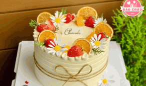 Trái Cây Sấy Trang Trí Bánh – Xu Hướng Phụ Kiện Decor Tự Nhiên Lên Ngôi